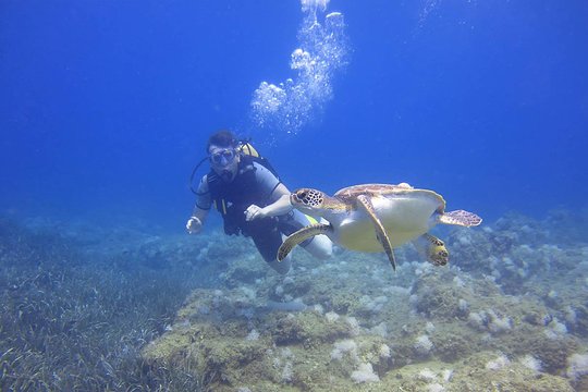 Tour image 3