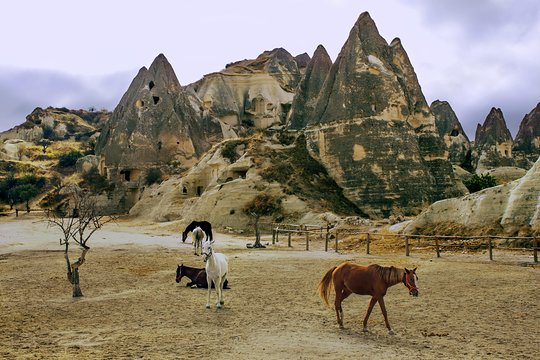 Tour image 7