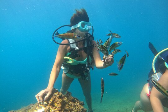 Tour image 6
