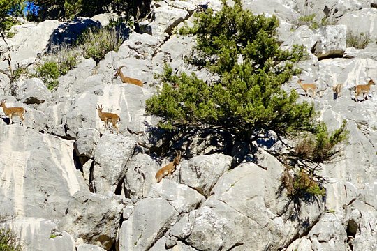 Tour image 14