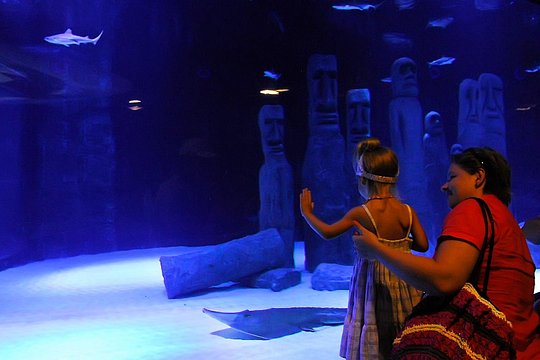 Tour image 1
